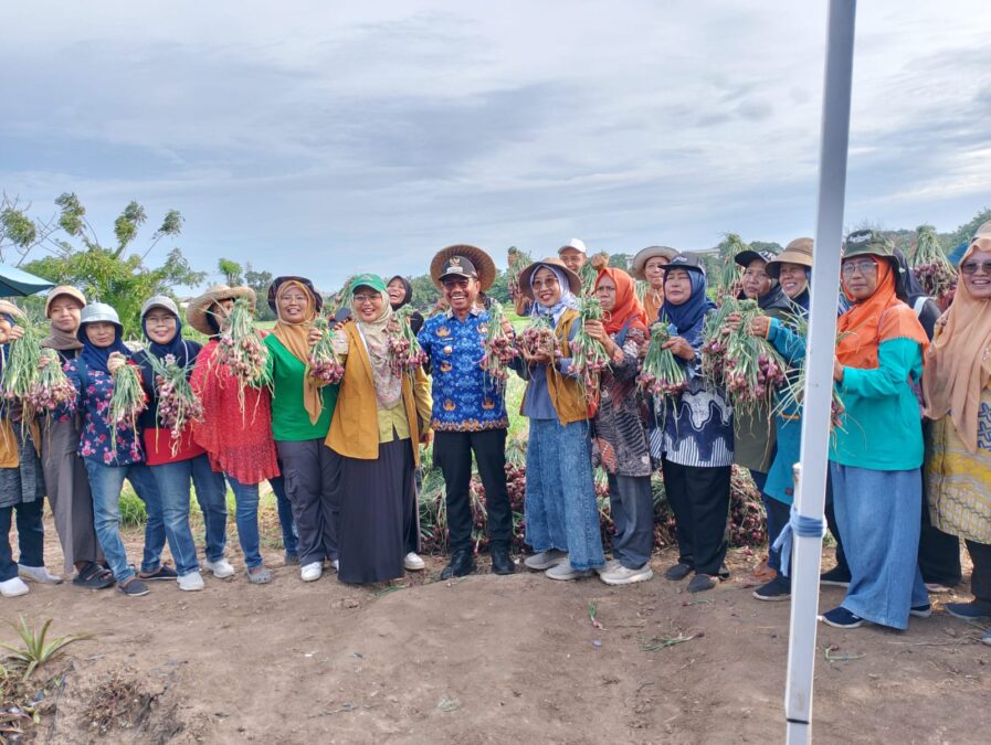 WhatsApp Image 2025-11-17 at 22.00.26_07587223